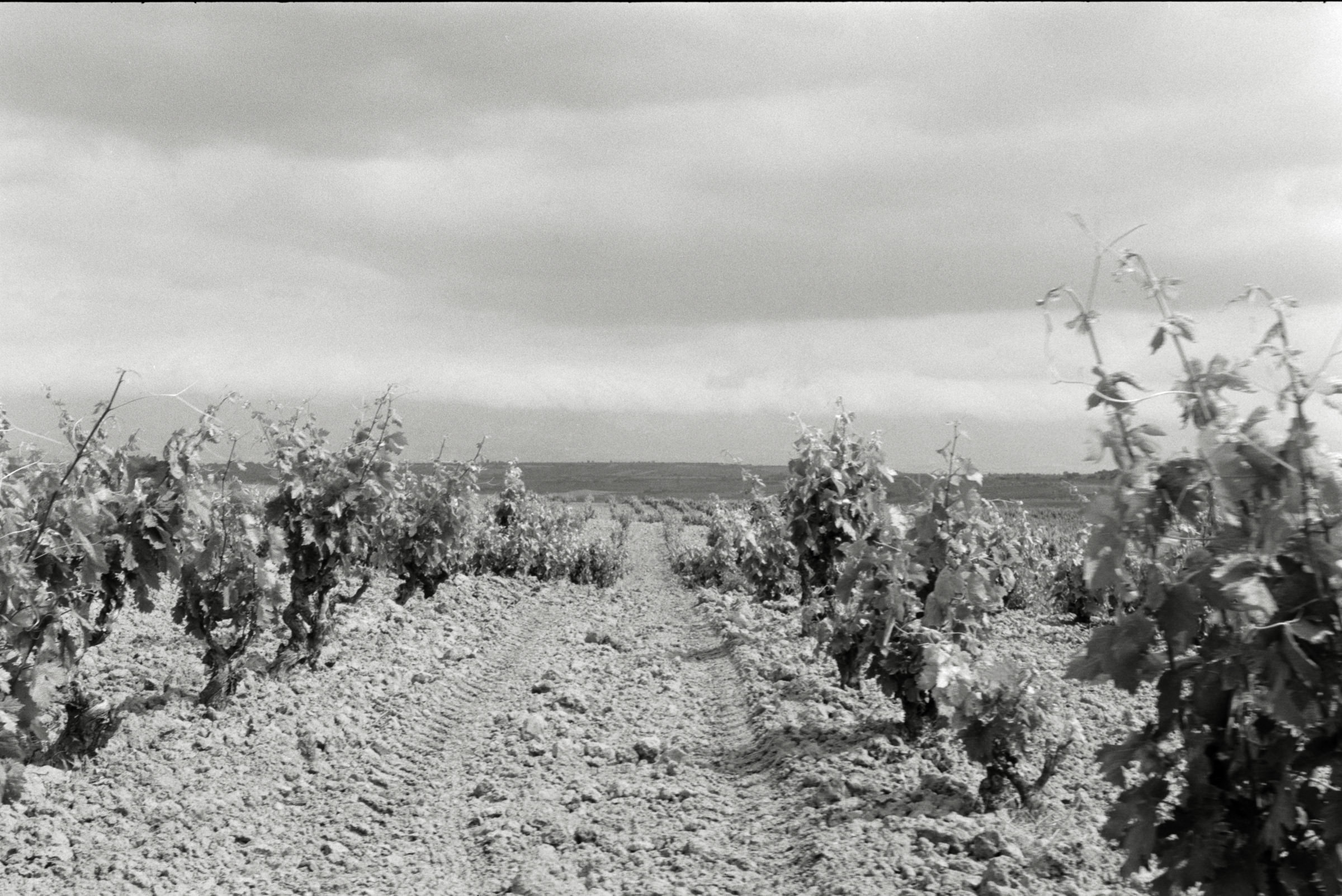 AHP F1995 05 007 sc240826 img34 NLP